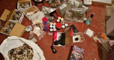 ФОТО. В Риге и под Вентспилсом изъято большое количество наркотиков: гашиш, амфетамин, марихуана, галлюциногенные грибы