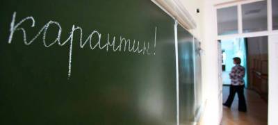 Школьные классы и детсадовские группы в Карелии закрываются на карантин из-за ОРВИ