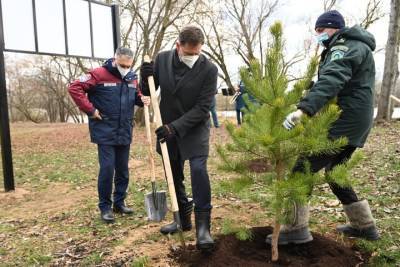 Более 8 тысяч деревьев высадили у новостроек в столице за январь-сентябрь