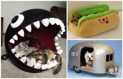 15 невероятных домиков для кошек и собак, которые заставят улыбнуться
