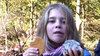 Тайное исчезновение маленькой девочки в Баварии: у полиции появились теории