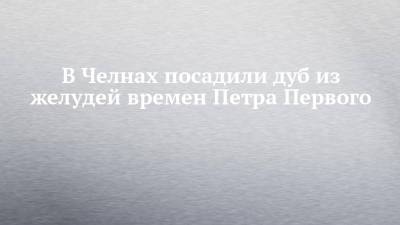 В Челнах посадили дуб из желудей времен Петра Первого