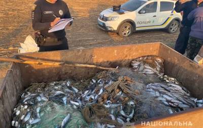 Миллионный ущерб: на Одесчине задержали браконьеров с крупным уловом кефали