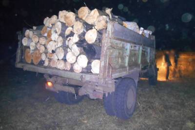 Зауралец незаконно заготовил древесину и вывез ее на грузовике