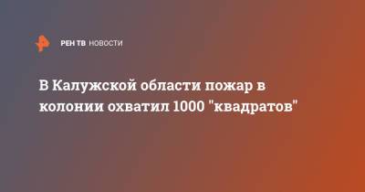 В Калужской области пожар в колонии охватил 1000 "квадратов"