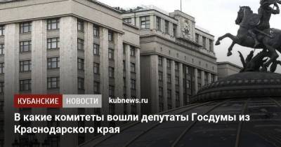 В какие комитеты вошли депутаты Госдумы от Краснодарского края