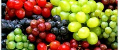 В Украине изменились цены на груши и виноград