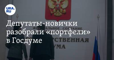 Депутаты-новички разобрали «портфели» в Госдуме