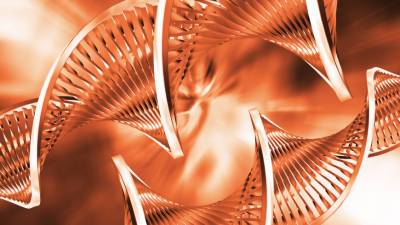 Биологи выявили сотни генов, связанных с беременностью