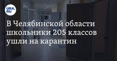 В Челябинской области школьники 205 классов ушли на карантин