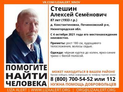 87-летнего мужчину уже неделю разыскивают в Починковском районе