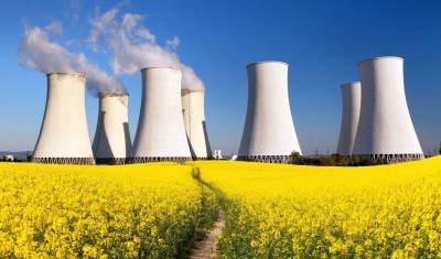 Геннадий Чародеев - Российские эксперты: атомную энергетику и АЭС в Европе списывать рано - newizv.ru - Франция - Румыния - Венгрия - Польша - Финляндия - Болгария - Хорватия - Словения - Чехия - Словакия