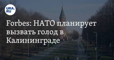 Forbes: НАТО планирует вызвать голод в Калининграде