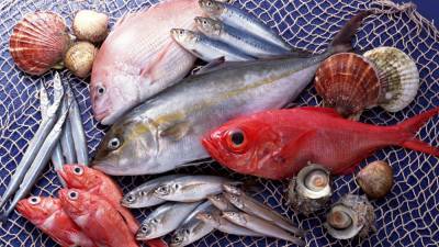 Диетолог назвал недорогие и полезные вида рыбы