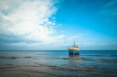 Рыболовный флот к 2023 году должен обновится на 80 процентов, заявили в Минсельхозе