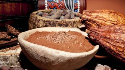 Нутрициолог Черняева рассказала о полезных свойствах какао