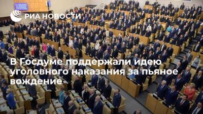 Депутат Федяев пообещал поддержать инициативу уголовного наказания за пьяное вождение