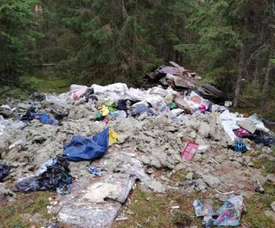 Природный заказник под Лугой оказался завален горами мусора
