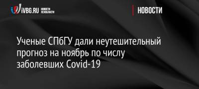 Ученые СПбГУ дали неутешительный прогноз на ноябрь по числу заболевших Covid-19