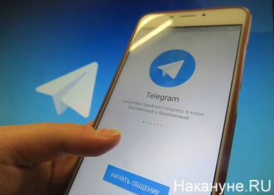 Telegram и YouTube заблокировали каналы организации "Мужское государство"