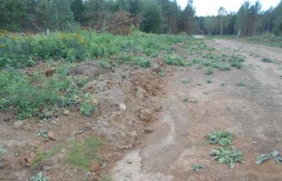 В Калининском районе выявлены нарушения земельного законодательства на 22 земельных участках