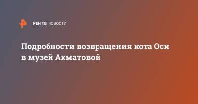 Подробности возвращения кота Оси в музей Ахматовой