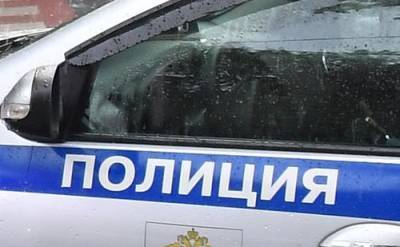 В Москве известный блогер сбила ребенка на пешеходном переходе