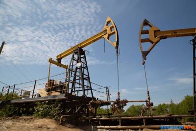 Взлет цены на нефть сгладит денежный кризис на Сахалине