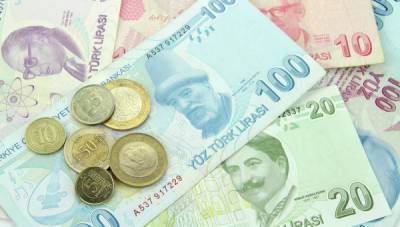 Турецкая лира подешевела к доллару до исторического минимума