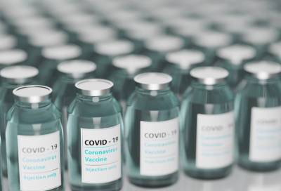 Центр «Вектор»: единая вакцина от гриппа и COVID-19 будет корректироваться под новые штаммы