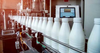 Экспорт белорусской молочной продукции растет на 0,7 % в год