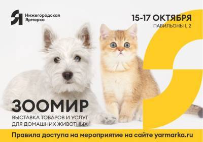Выставки собак и кошек пройдут на Нижегородской ярмарке 15—17 октября