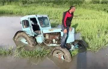 Дмитрий Бондаренко - Режим Лукашенко — это старый советский трактор, застрявший в болоте - charter97.org - США - Белоруссия