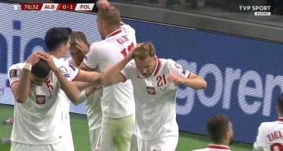Фанаты сборной Албании забросали игроков Польши бутылками
