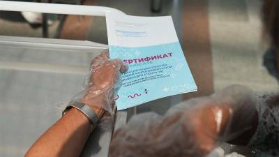 РФ и ЕС провели переговоры по вопросу признания сертификатов вакцинации