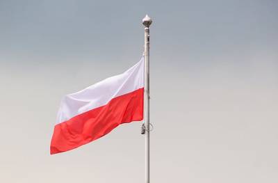 Выползов: Униженные в Великобритании и Германии поляки стали отыгрываться на украинцах - actualnews.org - Англия - Германия - Польша - Варшава