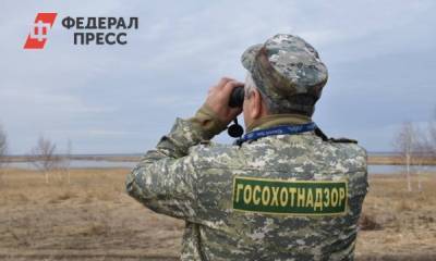 Браконьеры в Челябинской области убили птиц и животных на 13 млн рублей