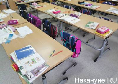 В 10 московских школах начнут бесплатно тестировать учеников на COVID-19
