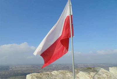 Польша и Литва ради независимости от газа из РФ приобрели "опилки в Беларуси"