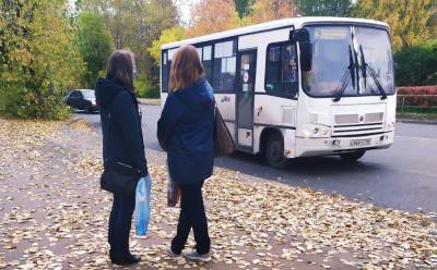 Мэрия Петрозаводска рассказала, как движется транспортная реформа
