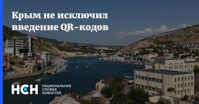 Крым не исключил введение QR-кодов