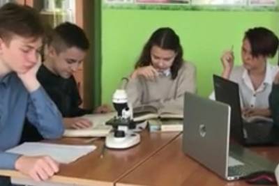 Лучшую исследовательскую работу юных биологов и экологов выбрали в Серпухове