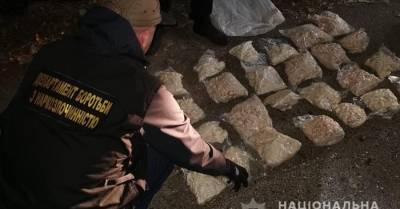 Полиция предотвратила ввоз в Киев крупной партии мефедрона