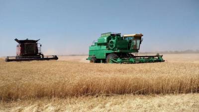 Дефицит пшеницы на фоне газового кризиса может грозить Украине