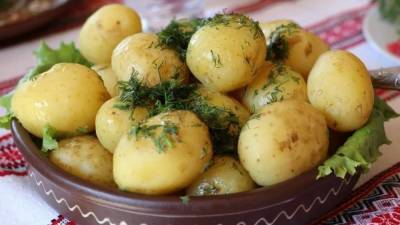 Диетолог Бойерс рекомендовала употреблять белый картофель для здоровья кишечника