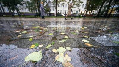 Синоптик рассказала, когда в Москве закончатся сильные дожди