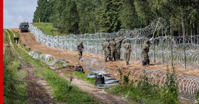 В Польше решили возвести полноценный забор на границе с Белоруссией