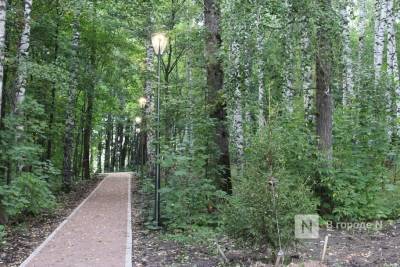 Экотропу за полмиллиона рублей создадут в нижегородском парке «Швейцария»