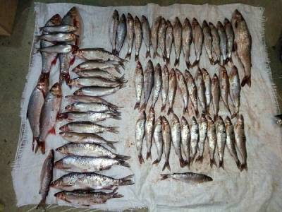 Полицейские Печоры задержали подозреваемых в незаконной ловле рыбы