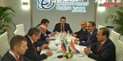 Россия и Сирия провели переговоры по сотрудничеству в сфере энергетики